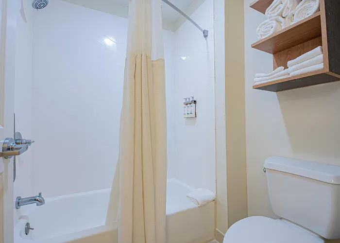 Hotel Staybridge Lafayette-airport By Ihg 3*