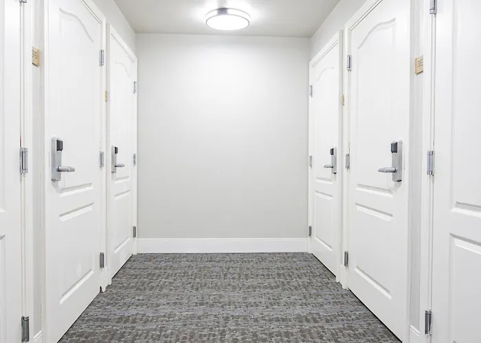 Staybridge Lafayette-airport By Ihg Hotel 3*