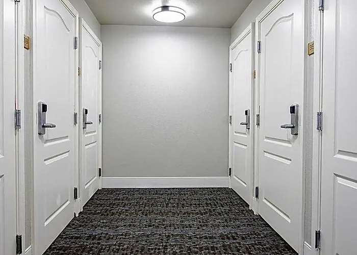 Staybridge Lafayette-airport By Ihg 3*
